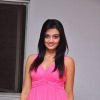 Nikitha Narayan Latest Stills | Picture 126209